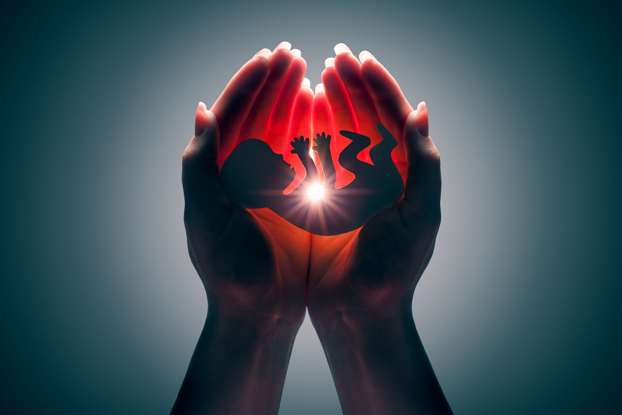 Evangelicals and Abortion: An Historical and Theological Study